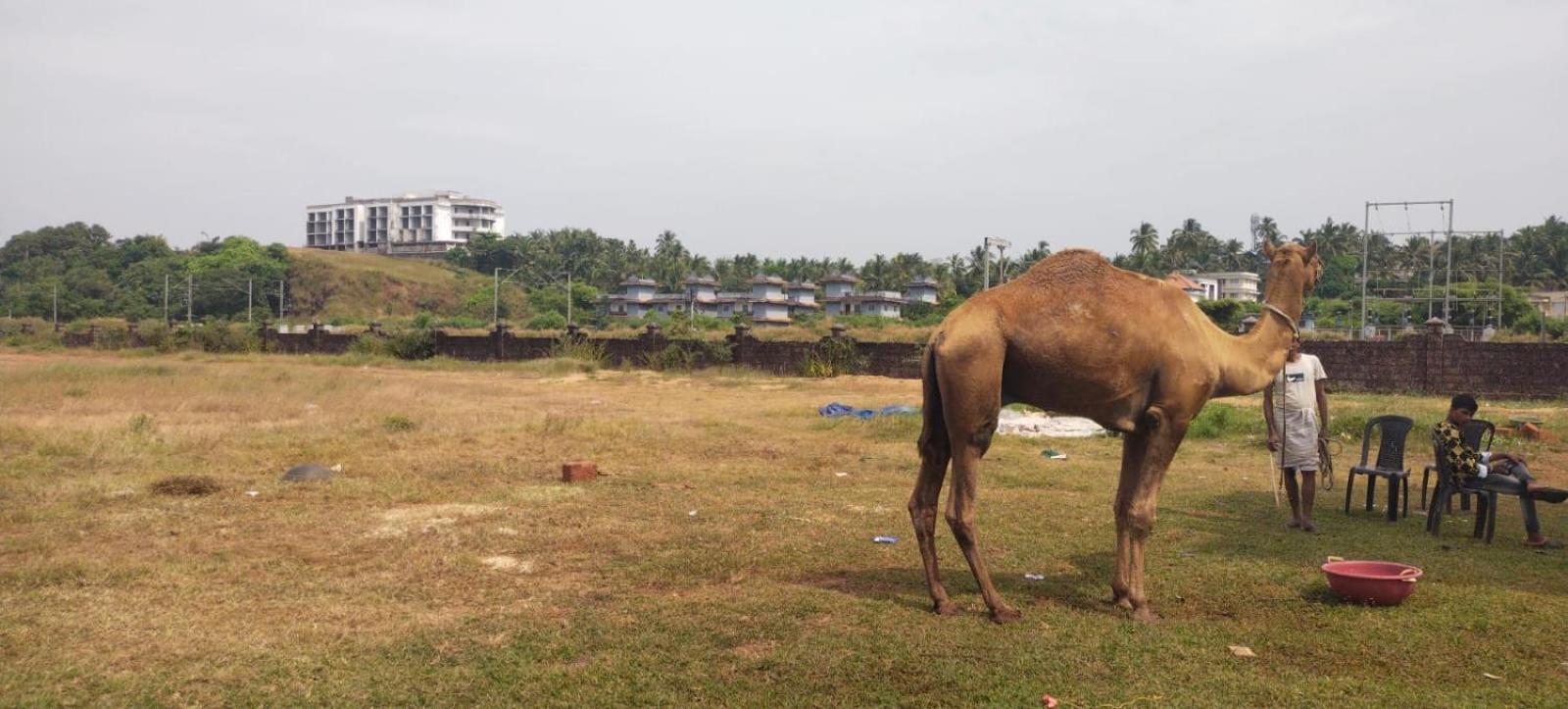 Bekal * Bekal Town